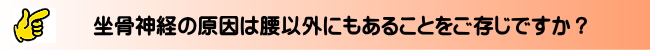 坐骨神経の痛み